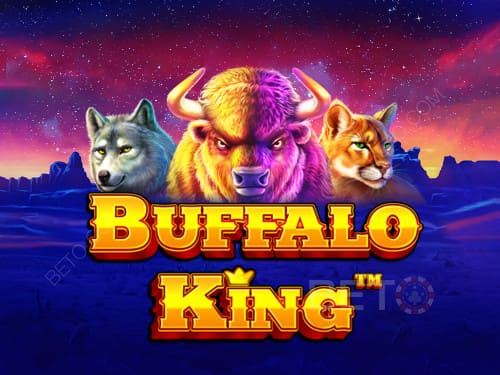 Buffalo King Buffalo King